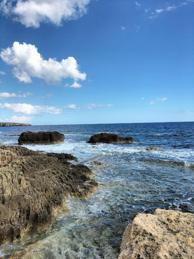 Luce Di Mare *